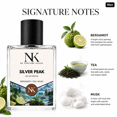 SILVER PEAK inspired by Silver Mountain Water - EDP 50ml