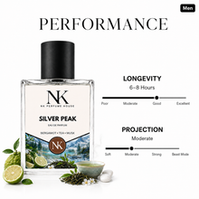 SILVER PEAK inspired by Silver Mountain Water - EDP 50ml