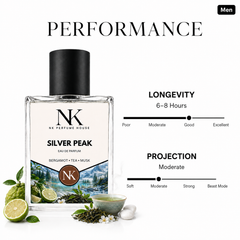 SILVER PEAK inspired by Silver Mountain Water - EDP 50ml